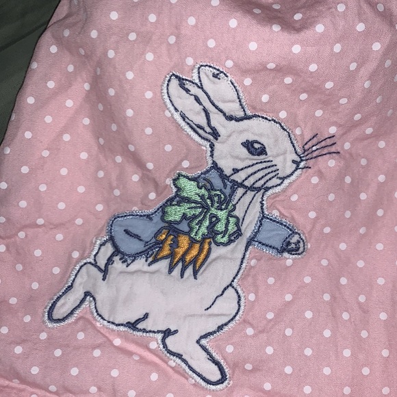 Gymboree Peter Rabbit Dress - Picture 6 of 6